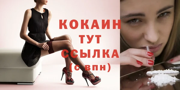 прущий лед Нестеровская