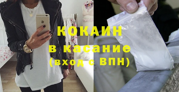 индика Корсаков